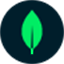 MongoDB Compass